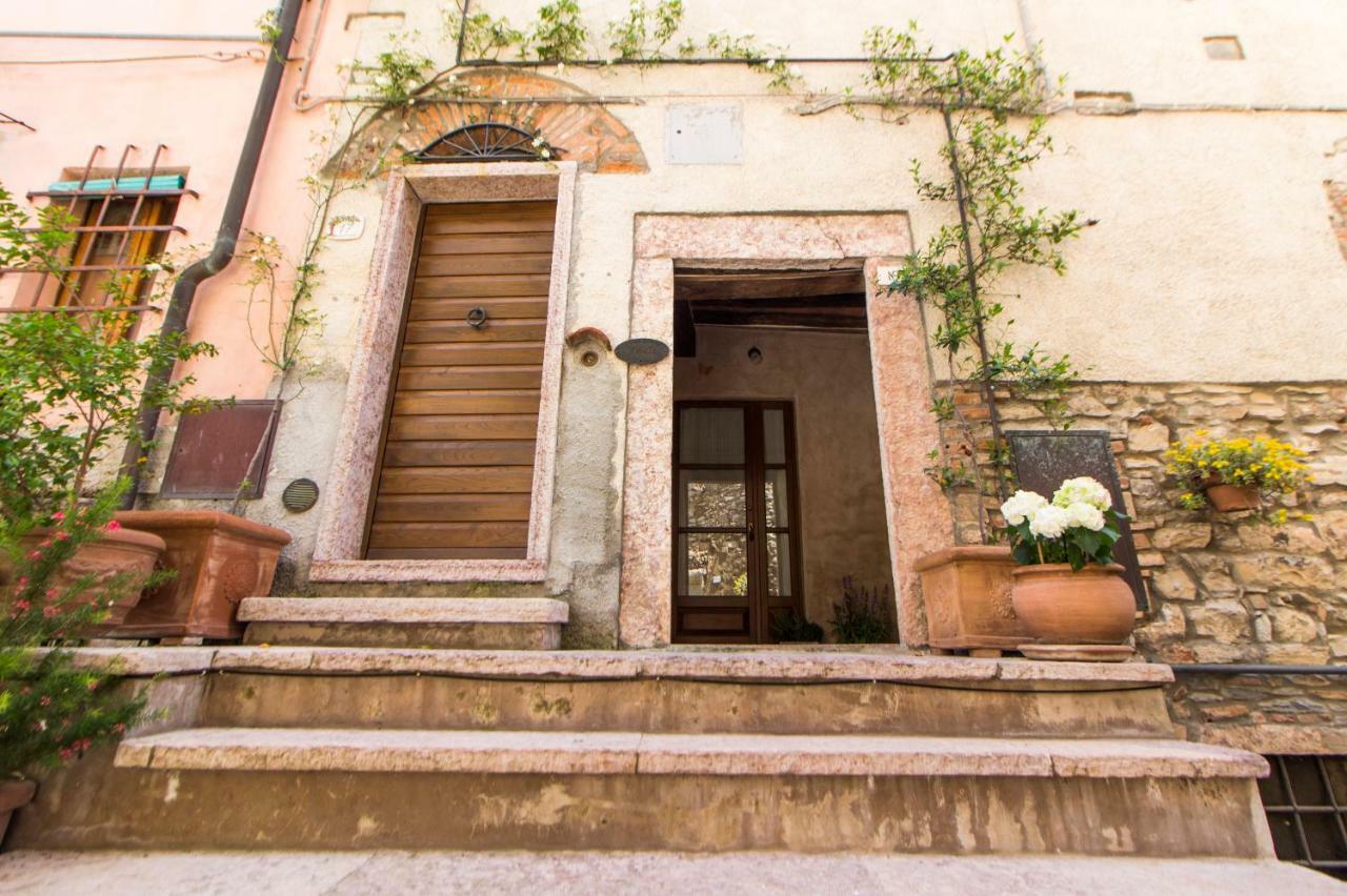 Ferienwohnung Le Dame Del Borgo Sassetta Exterior foto
