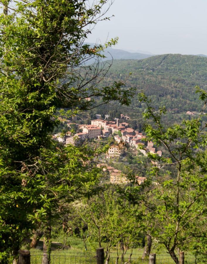 Ferienwohnung Le Dame Del Borgo Sassetta Exterior foto