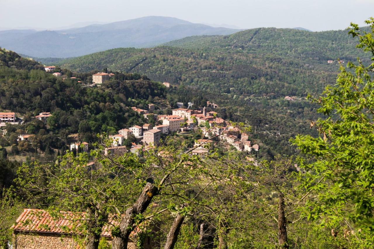 Ferienwohnung Le Dame Del Borgo Sassetta Exterior foto